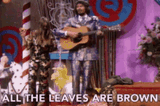 leaves-autumn