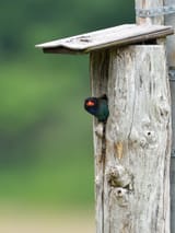 IMG_6650