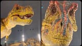 Dino-wat