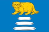 sretensky district manul flag