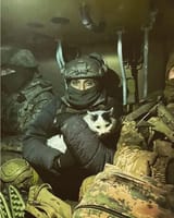 cat 4