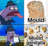 mould poon