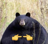 1648067045955