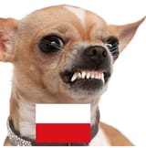 poland