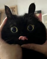 efhkw7ro_lg