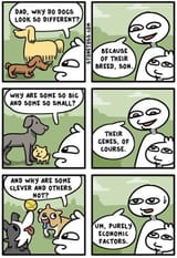 economic-factors