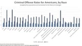 criminal_offense_rates_usa_by_race