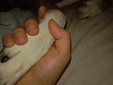IMG_20250225_003642