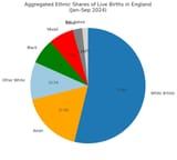 white-british-fell-to-53-of-births-in-england-in-jan-v0-brD7u8PbvtrRFdQHvyZEP1CoDHghk982SVKFcNlhf64
