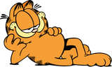 garfy