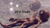 ayy lmao
