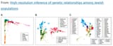 not so high resolution genetic relations among jewish populations