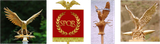 aquila