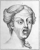 countenance