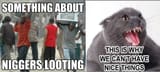 looters-660g7 (2)