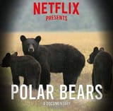 PolarBears
