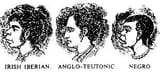 irish_anglo_negro