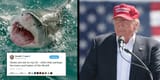 Trump Shark Snark