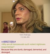 dumb trans freak