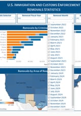 Screenshot 2025-07-12 at 15-12-07 ICE Enforcement and Removal Operations Statistics ICE