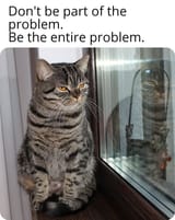 1749485479123195