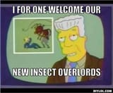 i-for-one-welcome-our-new-insect-overlords
