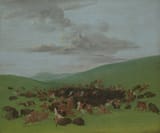 huntingbisongeorgecatlin