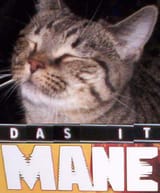 1520376091953