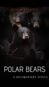 polarbears