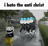 1619047491606