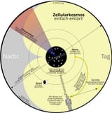 Zellularkosmos einfach erklärt