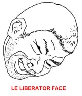 le liberator face