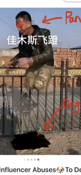 Gi6c9IFW0AAwsxJ