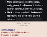Human Vs nigger