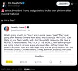 trump ratioed