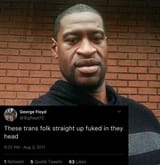 George Floyd on trannies