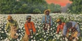 the-most-damaging-myths-about-slavery-debunkeds-featured-photo