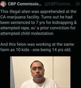 illegals explained