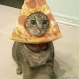 PIDSKOT6