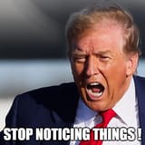 stop