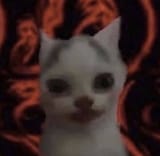 giygas_cat