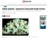 tapeworm cysts