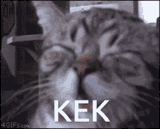 kek-cat-kek
