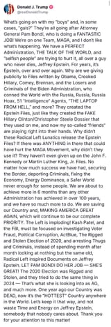 trump epstein