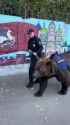 russian_police_bear__thumb.jpg
