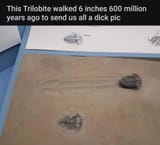 1654610018806