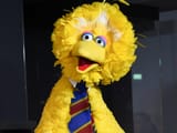 bigbirdnewsletter-copy-768x576