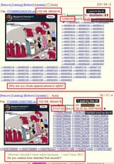 atwood women voting chuds