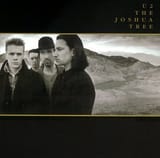 joshua_tree