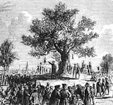 Liberty_Tree